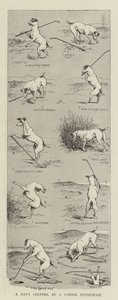 Un día de golf, por un entusiasta canino